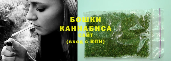 ПСИЛОЦИБИНОВЫЕ ГРИБЫ Горнозаводск