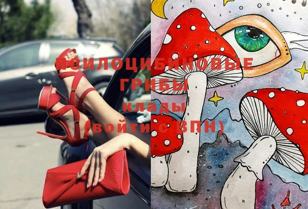 героин Вяземский