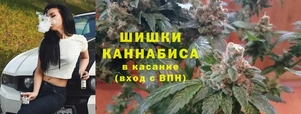 мдпв Вязьма