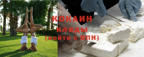 мдпв Вязьма