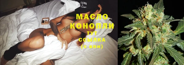 мдпв Вязьма