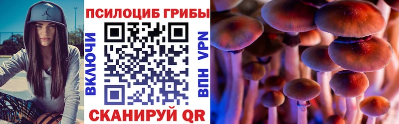 Псилоцибиновые грибы мицелий  Купить  Камбарка 
